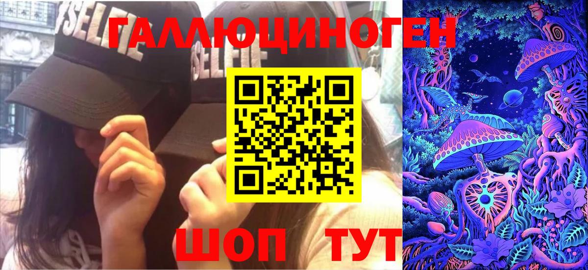 Псилоцибиновые грибы Psilocybine cubensis Батайск