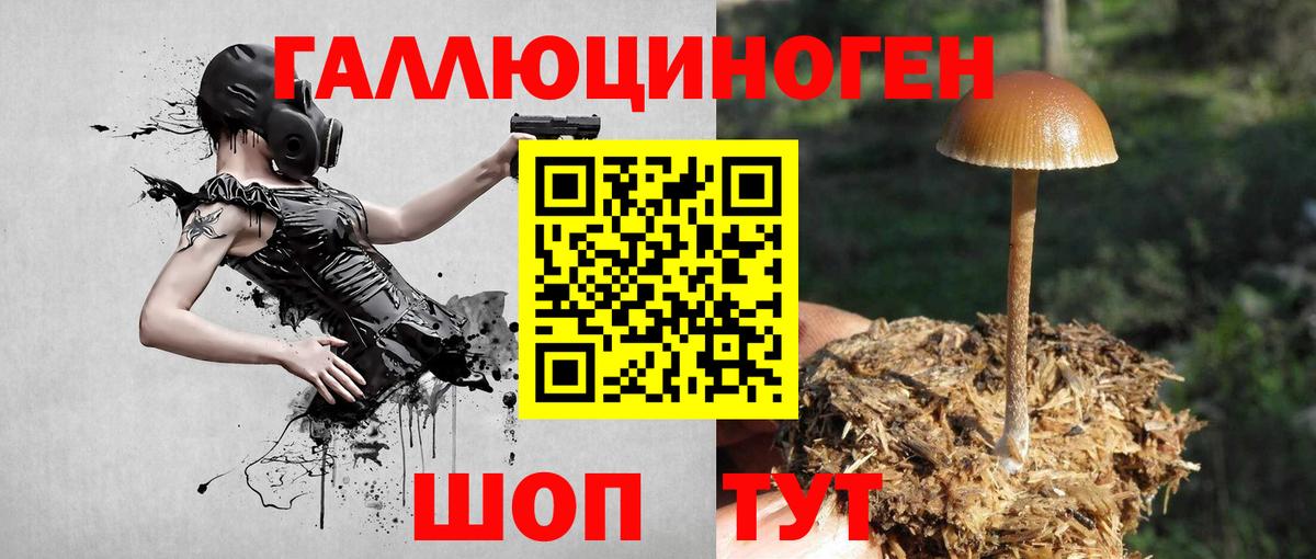 Батайск  Псилоцибиновые грибы Cubensis  Вход с VPN 